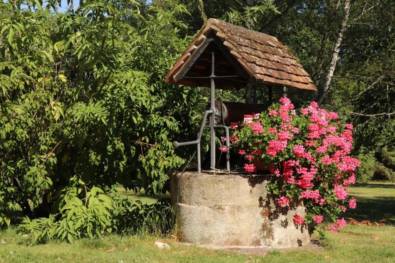 Les Bruyeres Panzió Méry-sur-Cher Kültér fotó